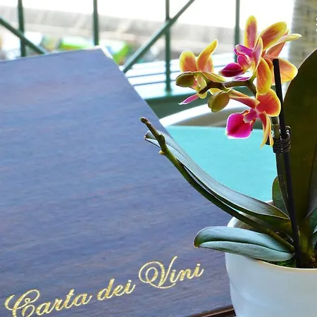 Hotel Carlotta 3*